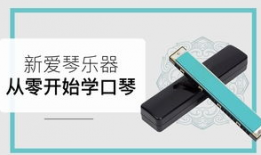 学口琴入门教程视频,跟随口琴教程视频，开启音乐之旅